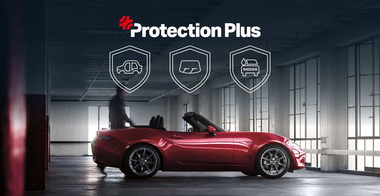 Protection Plus